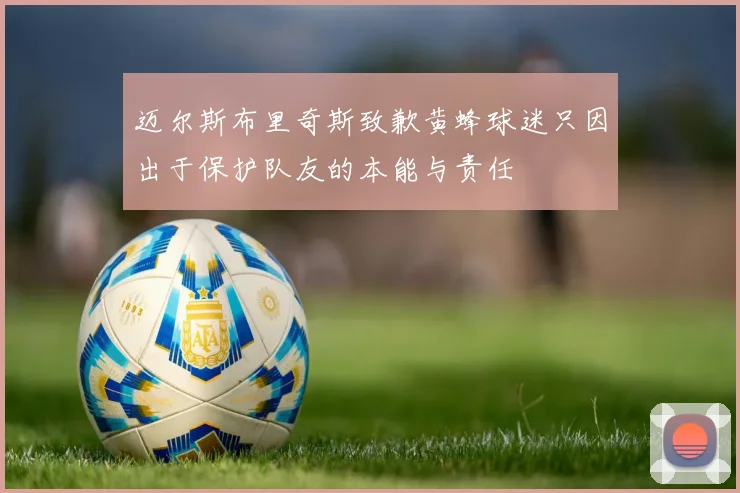 迈尔斯布里奇斯致歉黄蜂球迷只因出于保护队友的本能与责任
