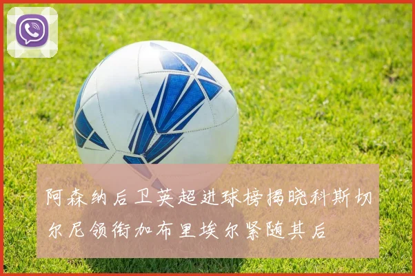 阿森纳后卫英超进球榜揭晓科斯切尔尼领衔加布里埃尔紧随其后